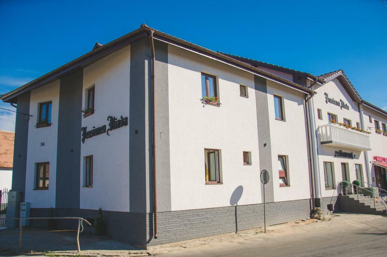 Pensiunea Iliada Sibiu Eksteriør bilde
