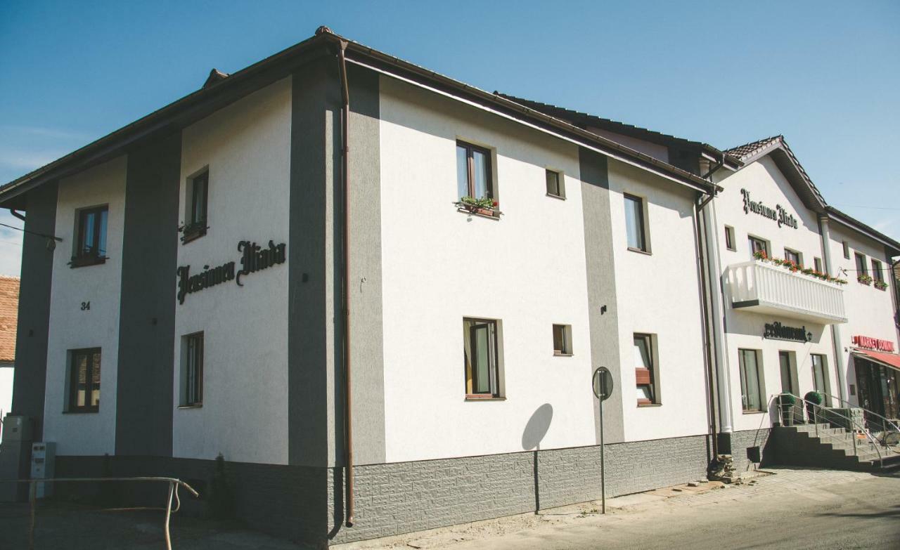 Pensiunea Iliada Sibiu Eksteriør bilde